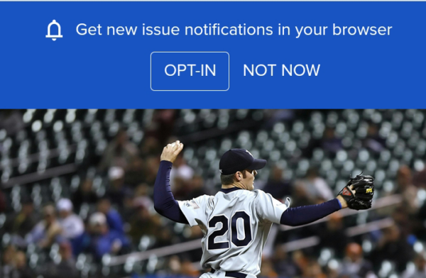 Double Opt-In Web Push Notification Example